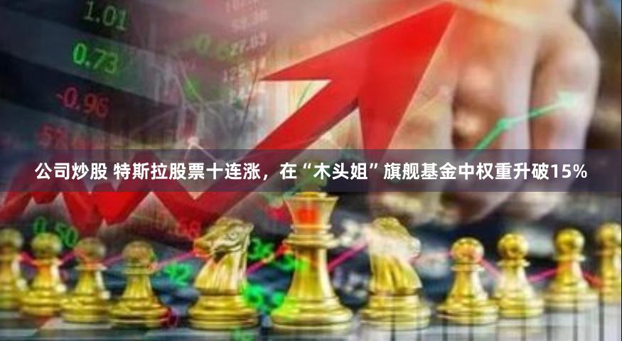 公司炒股 特斯拉股票十连涨，在“木头姐”旗舰基金中权重升破15%